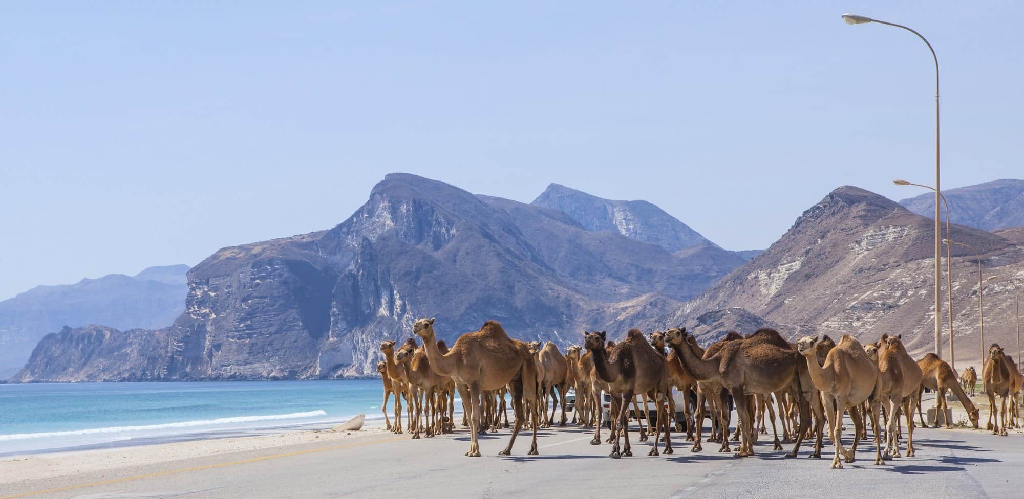 Ultimate guide to choosing where to live in Oman Salalah