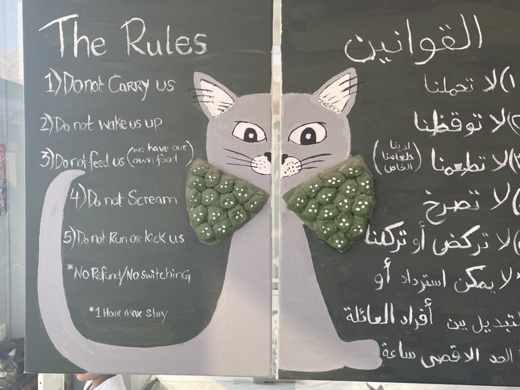 Rules at Fluffymania Cat café