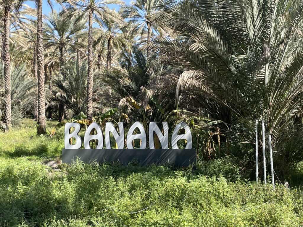 Banana sign in Birkat al Mouz, Oman