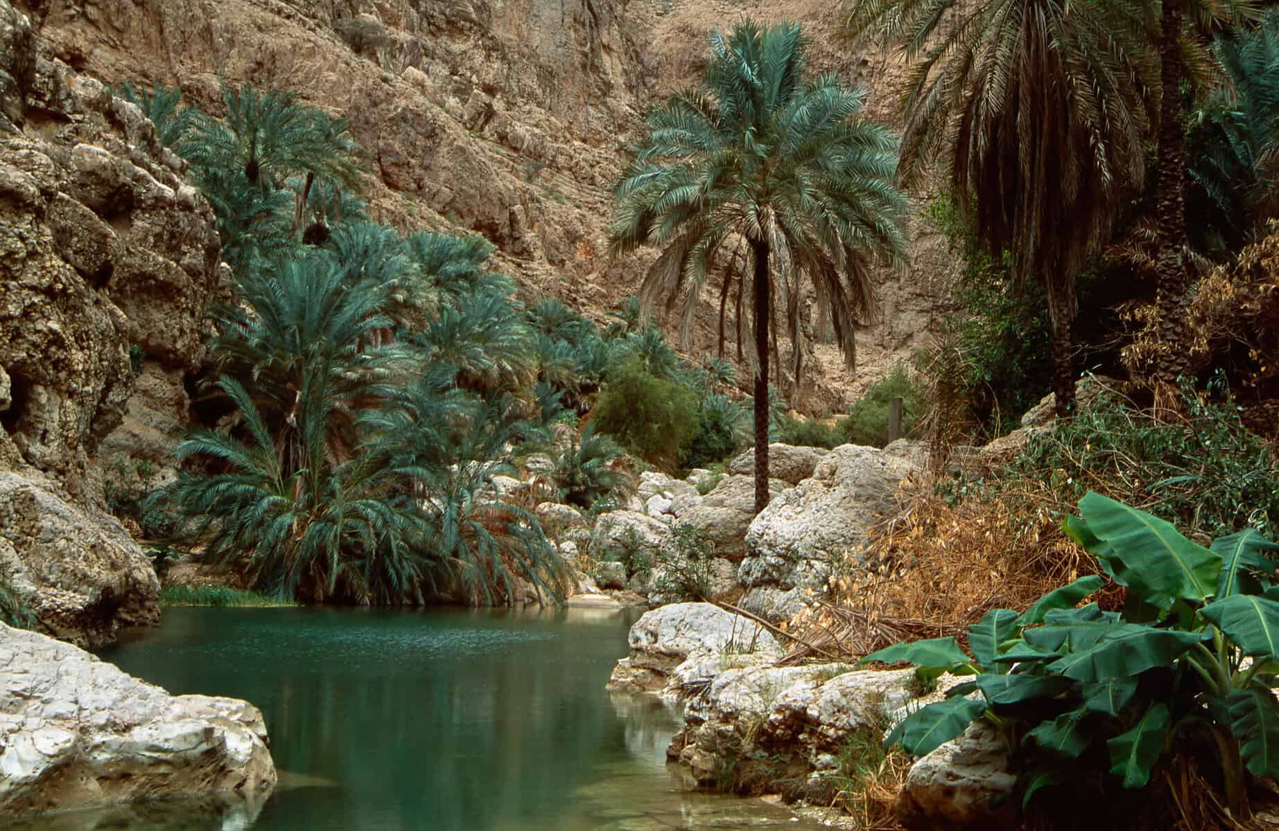 The emerald green waters of Wadi Shab