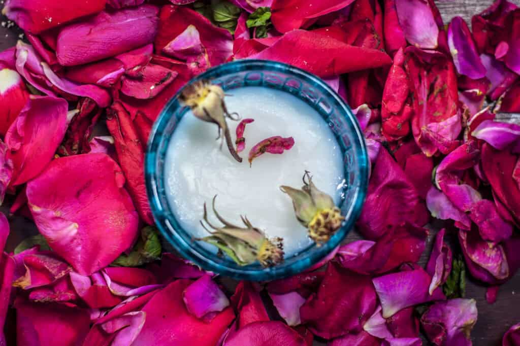 Rose petals with a bowl of milk in the middle.