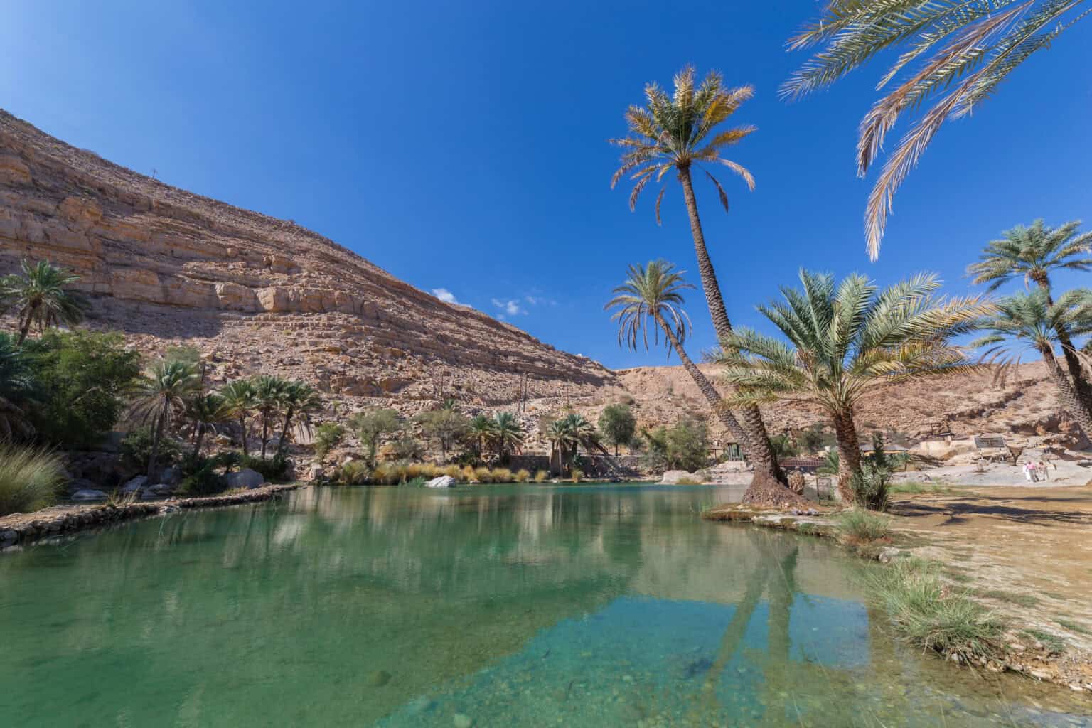 A serene Emeral green pool in Wadi Bani Khalid