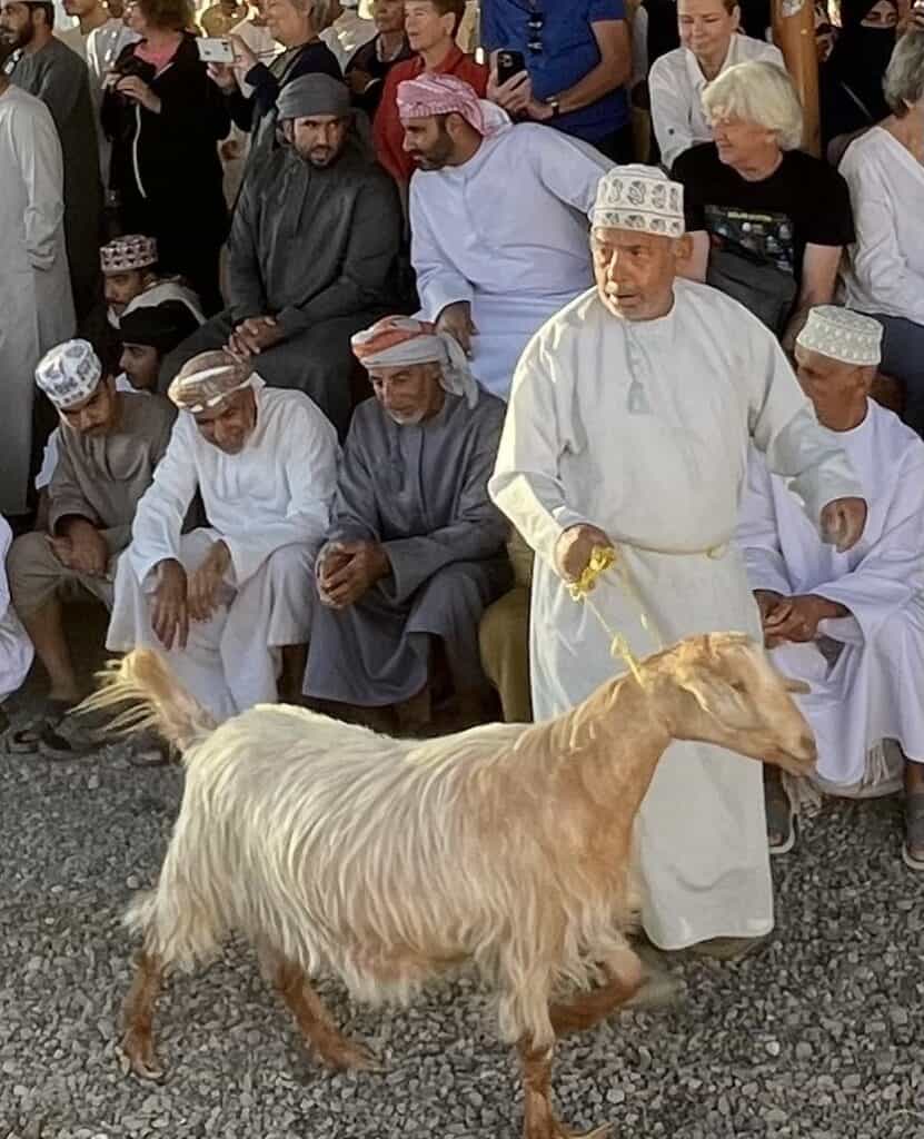 An Omani man leads a long-haired goat through the Nizwa Goat Market ring while seated buyers and onlookers watch closely.