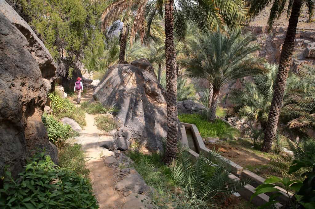 walking along a rocky mountain path lined with palm trees and a falaj water channel in Misfat al Abriyeen, Oman.