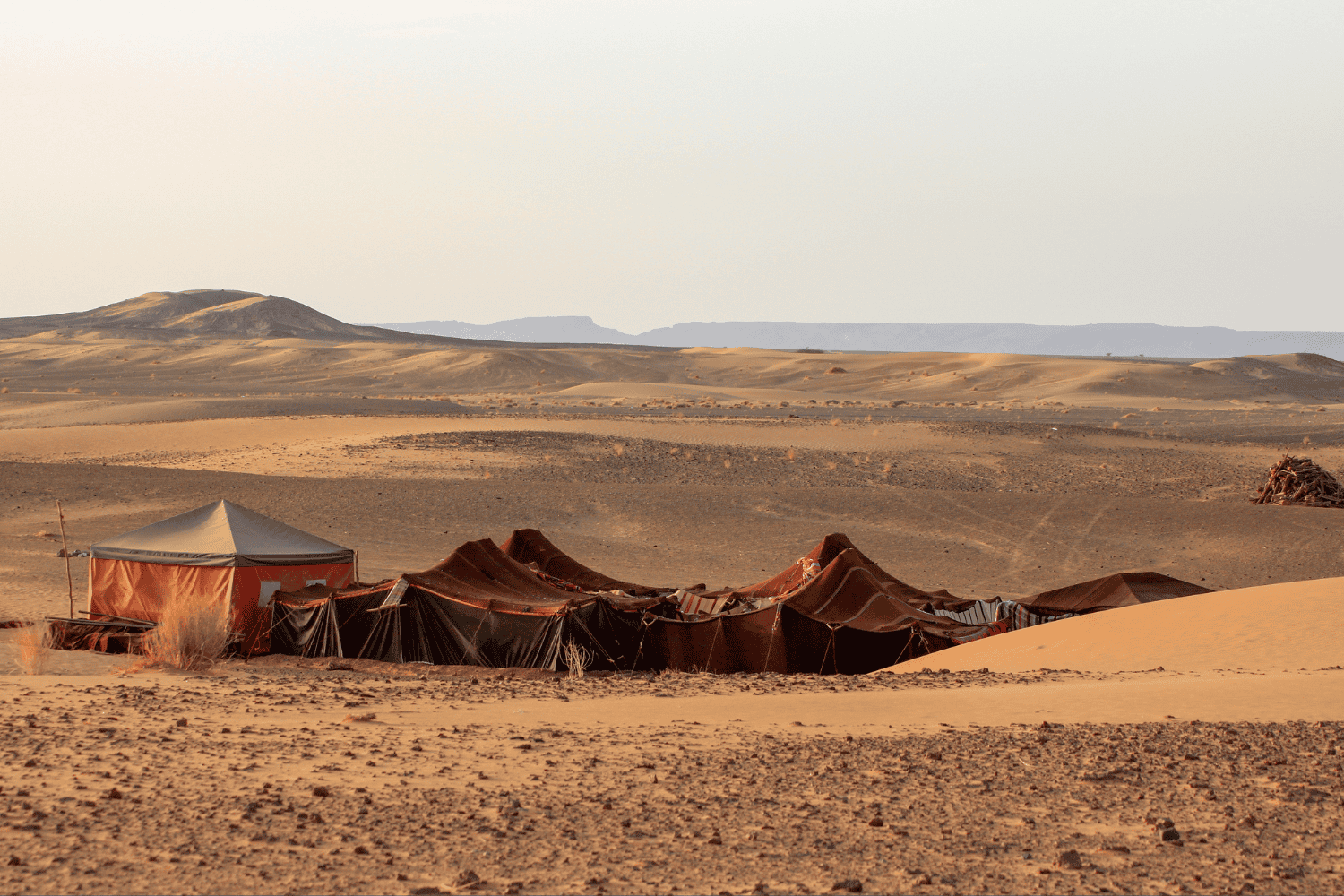 Desert camp set among rolling sand dunes in Oman, photographed in soft winter light with tents pitched